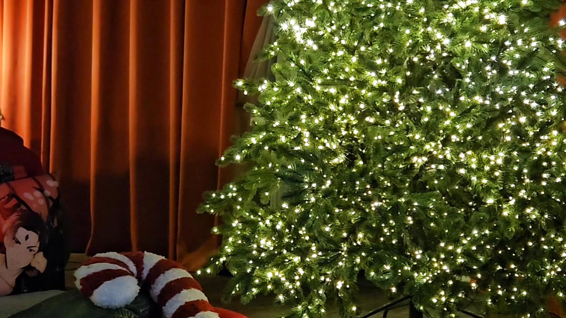 Packing a Christmas present for you! :D - Video von MaxPhoenixx Cam-Model