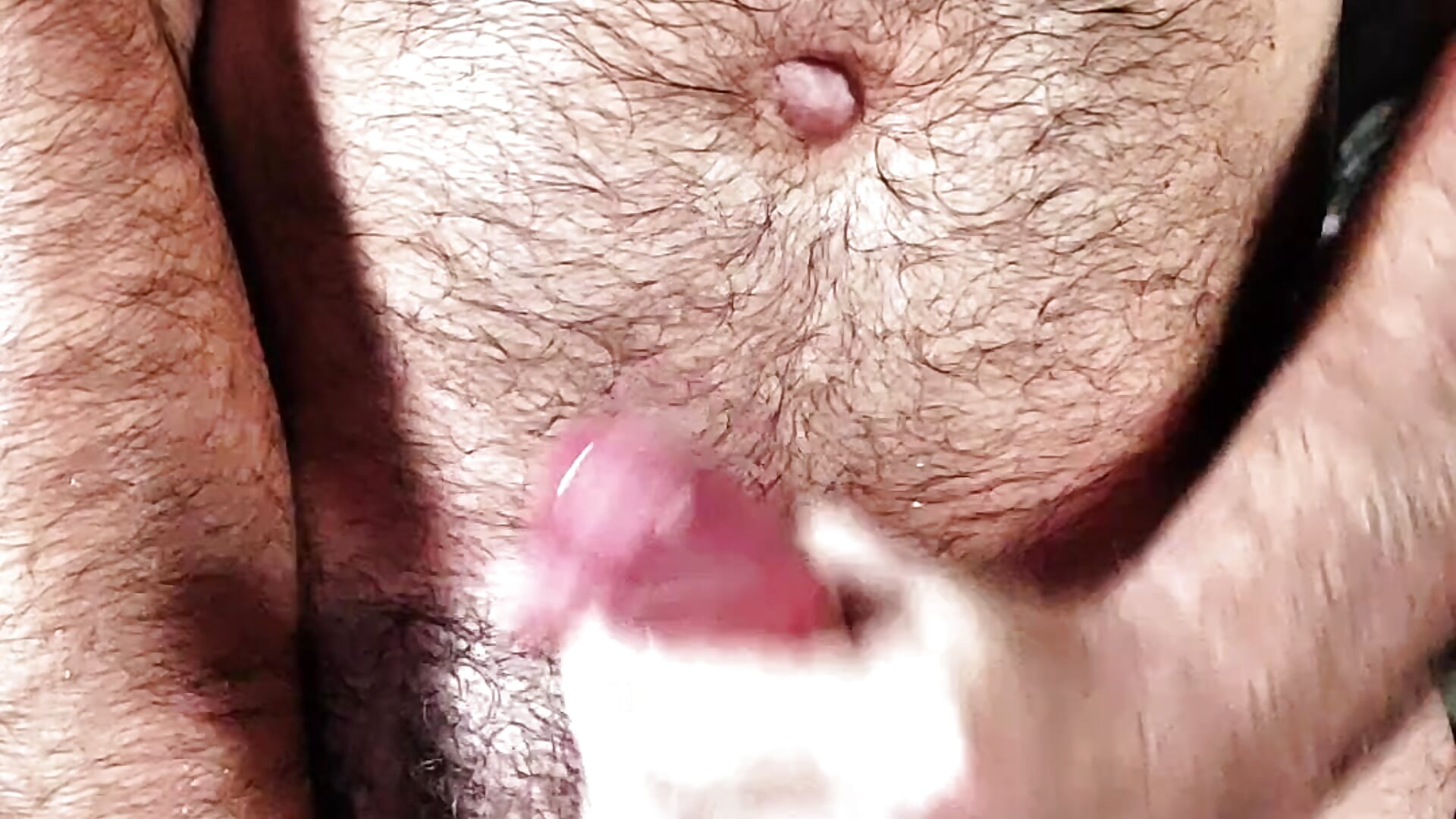 Onde você quer essa leitada? - video by PeludoCapixaba cam model