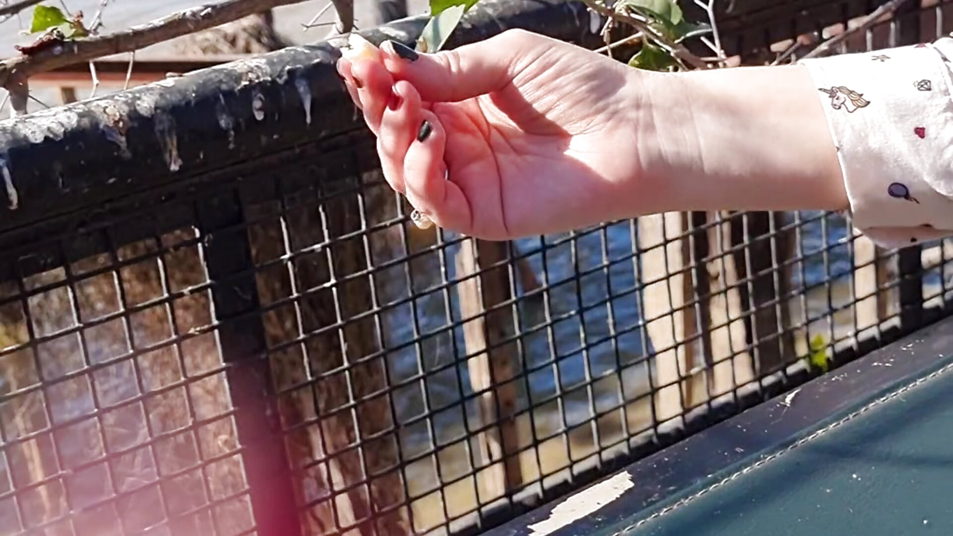 Lunch by the river - video by 1Sweetnina cam model