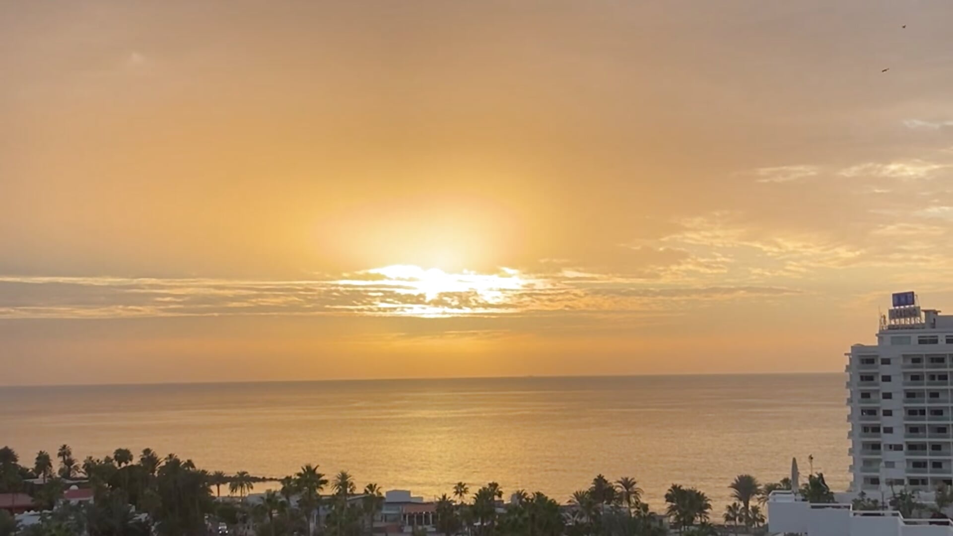 IMG_0844 - video by Raawrz cam model