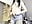 Undress me, you have to watch the video until the end - Vídeo de eva_cuper