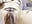 Look how I ride your dick - Vídeo de eva_cuper