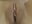 Fokus Pussy  Wichsanleitung - video di kylie_blck