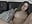 Creampie erwischt verwischt Kylie - kylie_blck 님의 �동영상