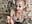 Geile Wichsanleitung - video di kylie_blck