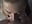 POV Blowjob and Cum in Mouth - kylie_blck 님의 동영상