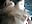 2k POV Part 4-Choked - Video von MenaDreadfull Cam-Model