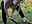 Topless wood work - Video von MenaDreadfull Cam-Model