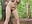she love trees - Video von MenaDreadfull Cam-Model
