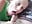Blowjob in Italien-kein cumshot da fast erwischt - Video von MenaDreadfull Cam-Model