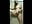 Standing Shower Head Masturbation - Cell Phone Video - vídeo de VelvetDiablo