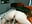 Doggystyle Hairbrush Masturbation - vídeo de VelvetDiablo