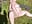 Cum at end goal outside while guy wanked off in trees - video oleh model kamera sexychazza16