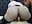 Hard Penetration! - CelestteSweett 的XXX视频