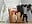 Red nails of the feet - Boots - Masturbacion and Show Ass - CelestteSweett 的视频
