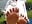 my feet barefoot - CelestteSweett 的视频