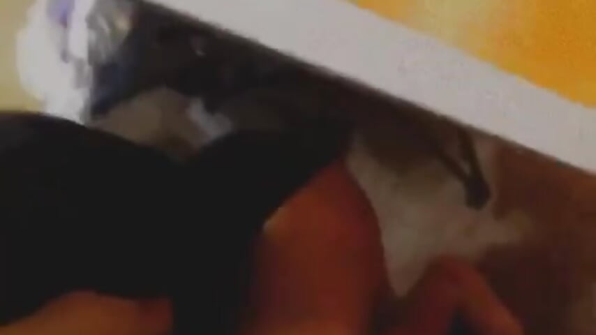 🍑 – video modela na kameri rosnaithegreatest