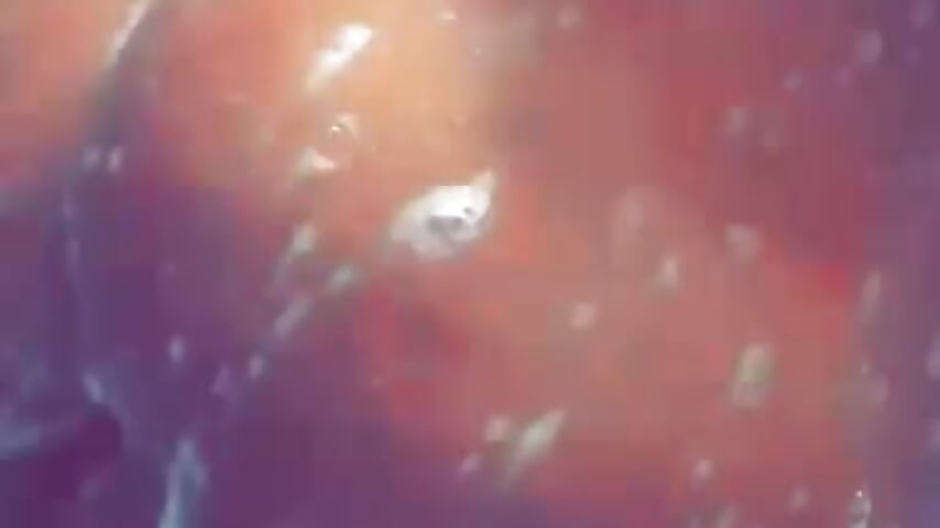 trim,924C27F7-E238-40CF-B9BC-3346CD43E0D1 – video modela na kameri rosnaithegreatest