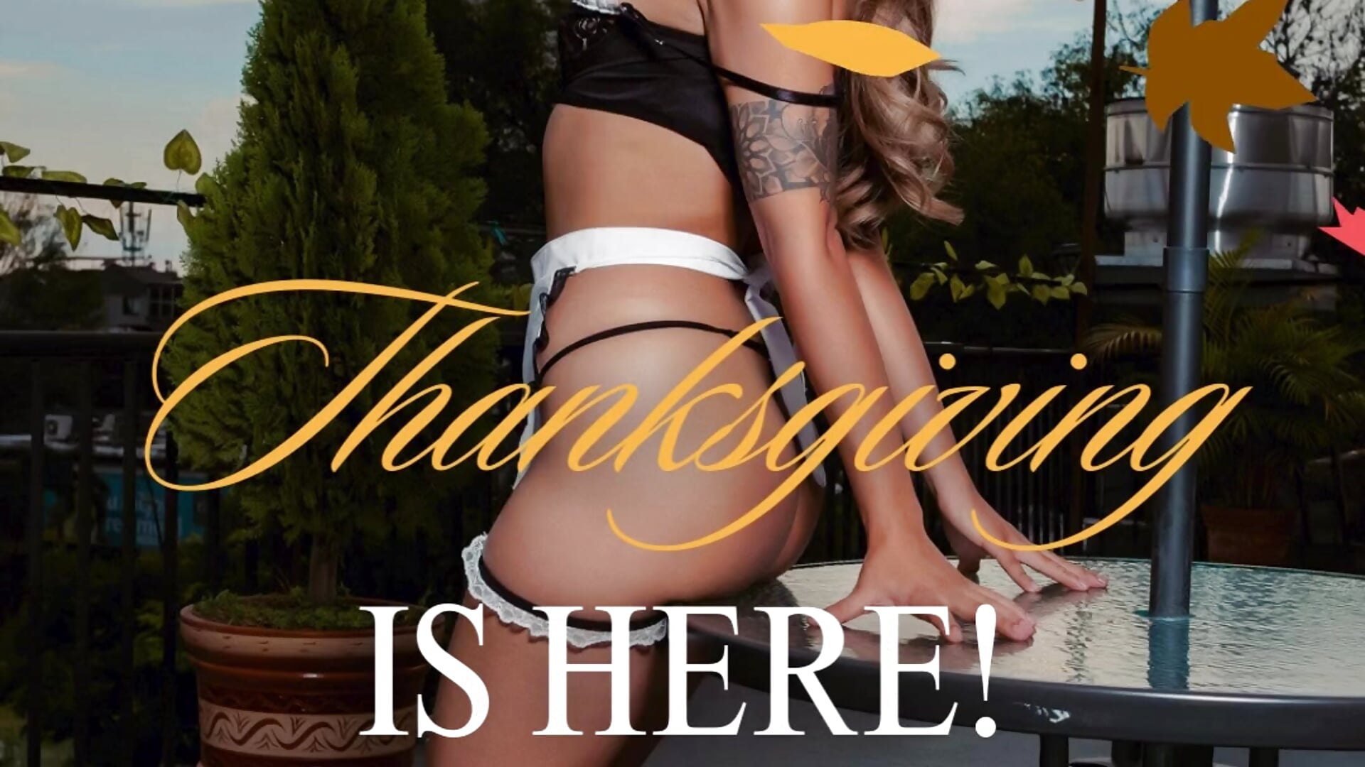 THANKS GIVING 28/11 - XXX video by brianathompson