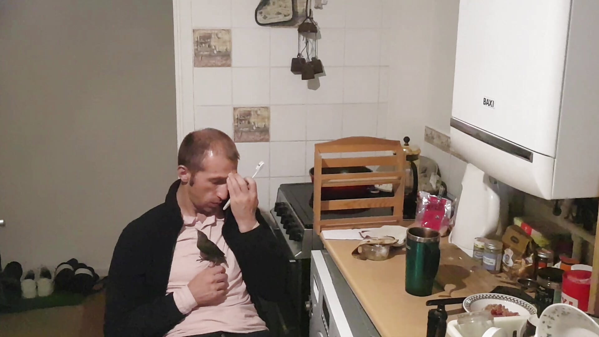 Petting and brushing my Mychick the adopted Starling bird chick - video by theSmallest-dick cam model