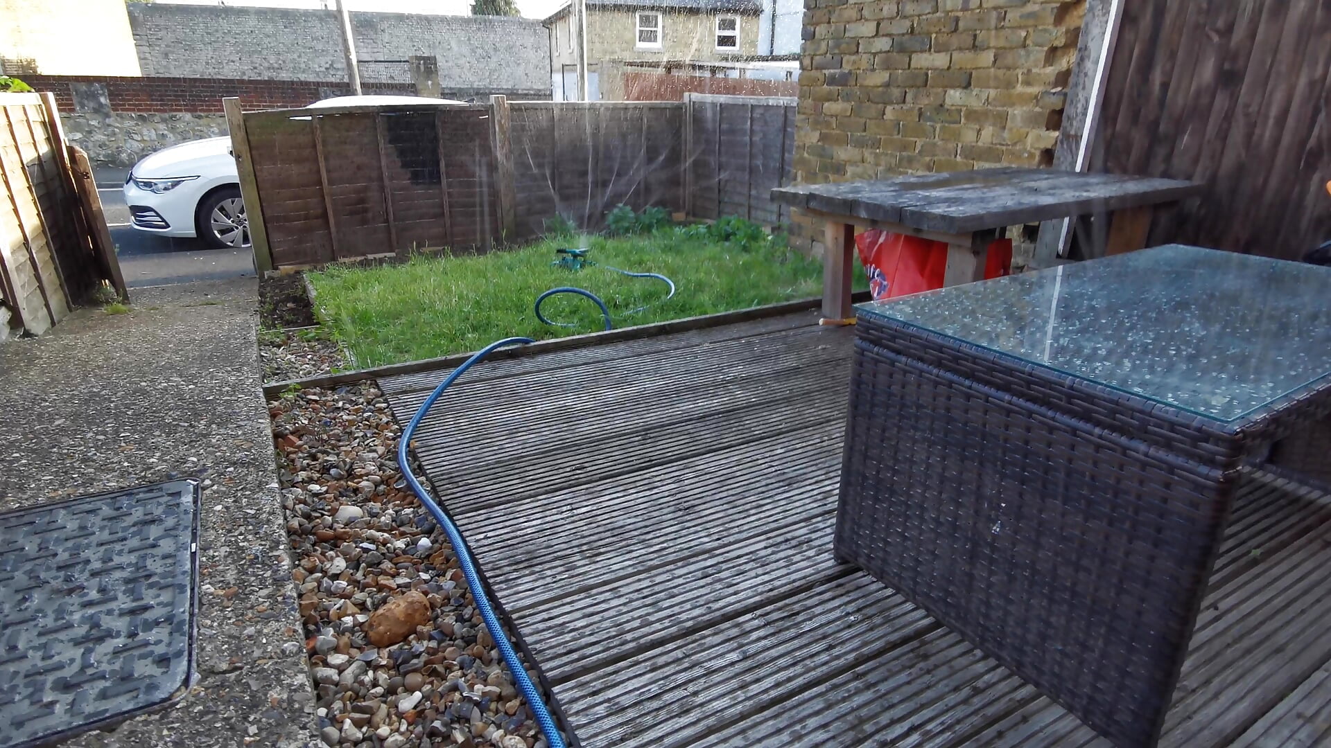 Watering in the seeds - video by theSmallest-dick cam model