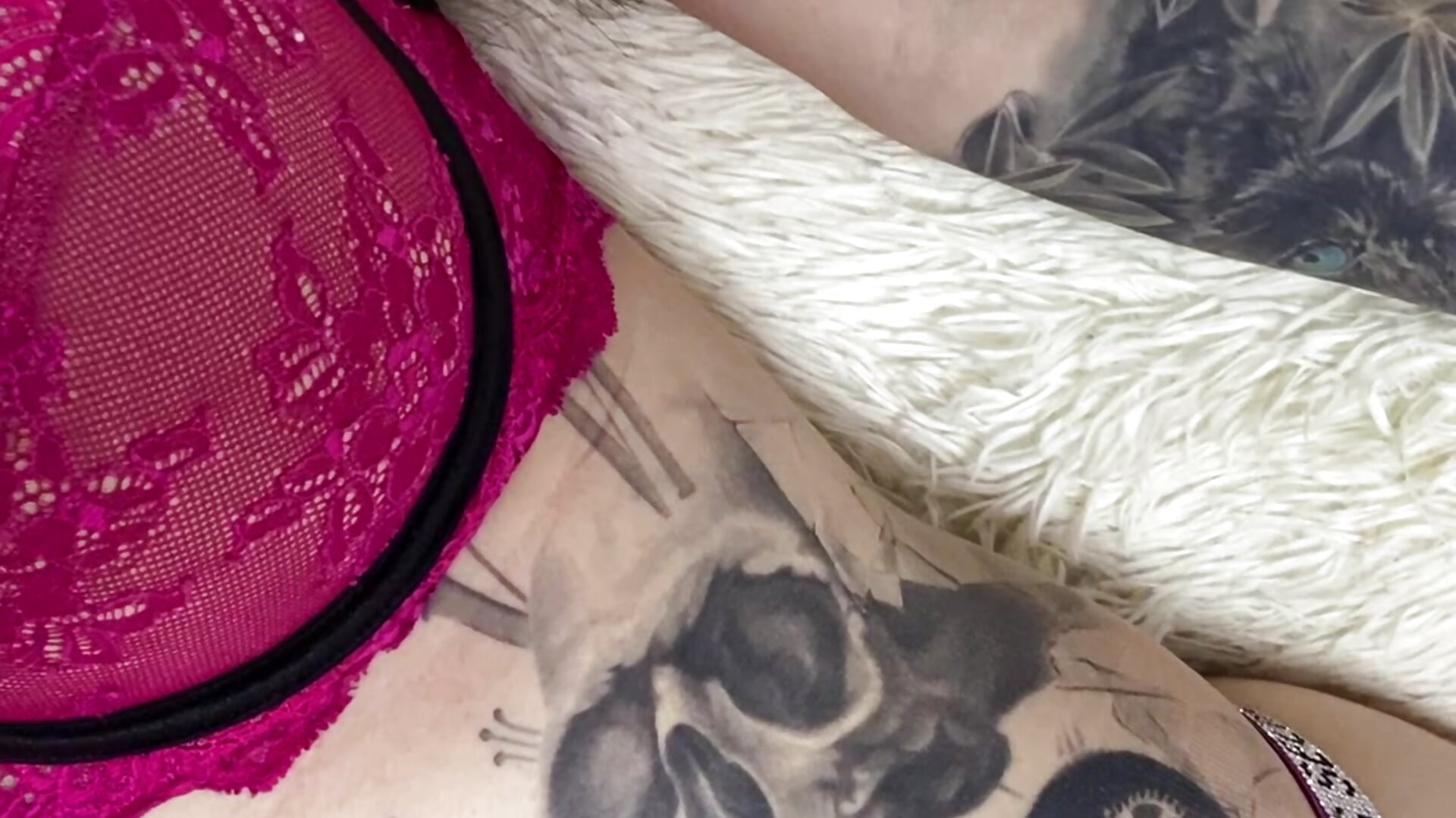 tatto－カメラキャストの_Stella_aaの動画