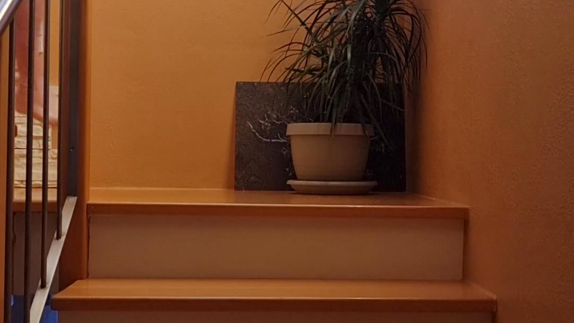 Nude at Home - video by Oldie_Tom cam model