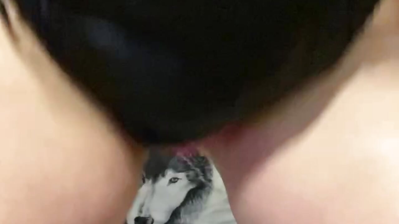 Dildo fuck front/behind/riding/dirty talk - відео від вебкаммоделі BustyVicky