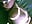 #goddess - video by -veranito- cam model