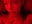your halloween treat ;) - video by -veranito- cam model