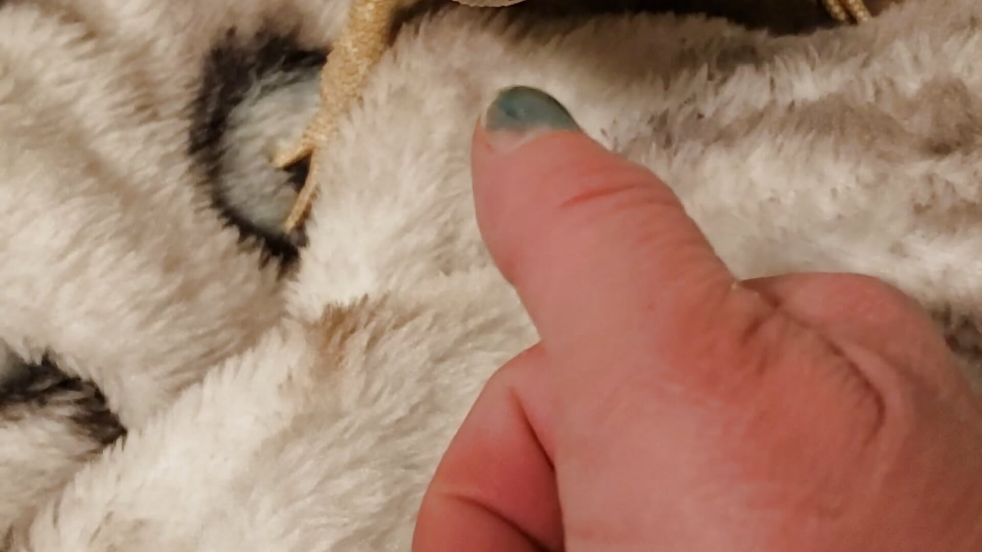 Bowser the piranha! Ouch dammit! Lol – video af OrangeHello