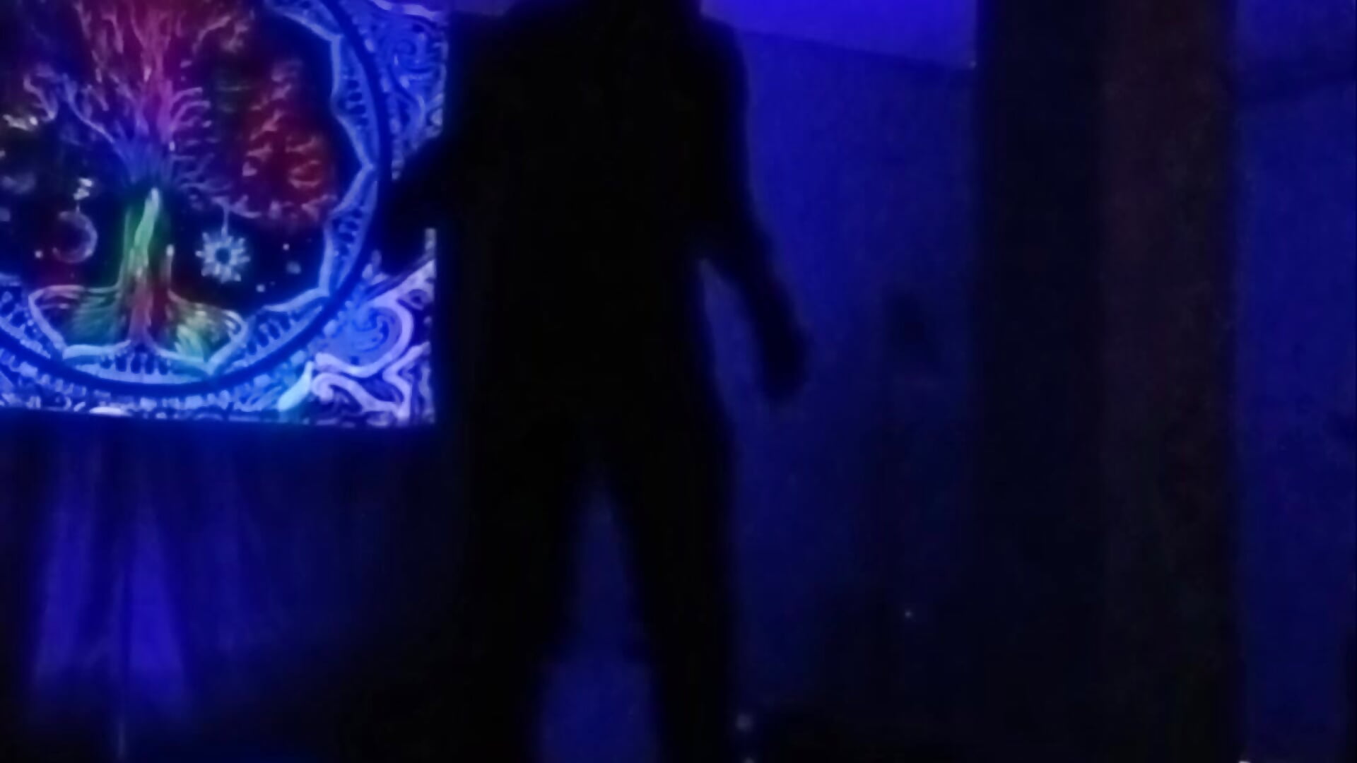 I used my skating gear this time rofl! – video af OrangeHello