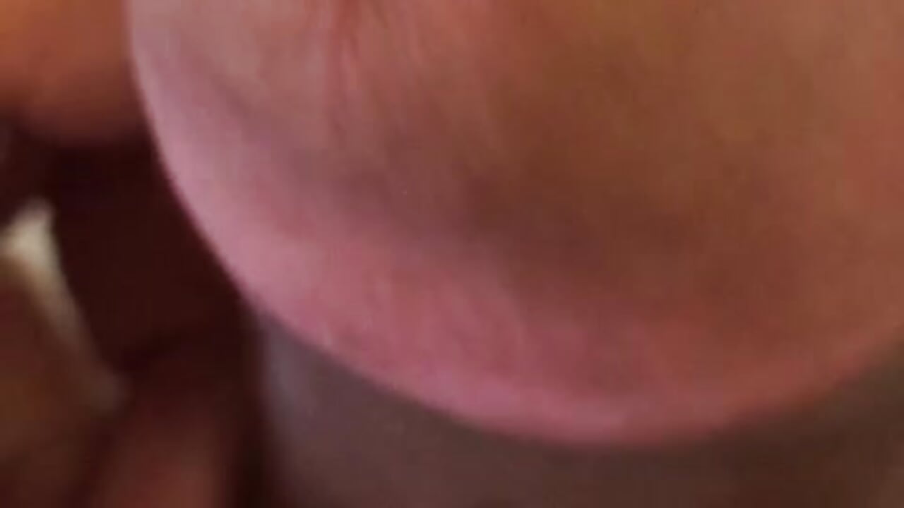 Video do pau babando - video by grosso-pau cam model