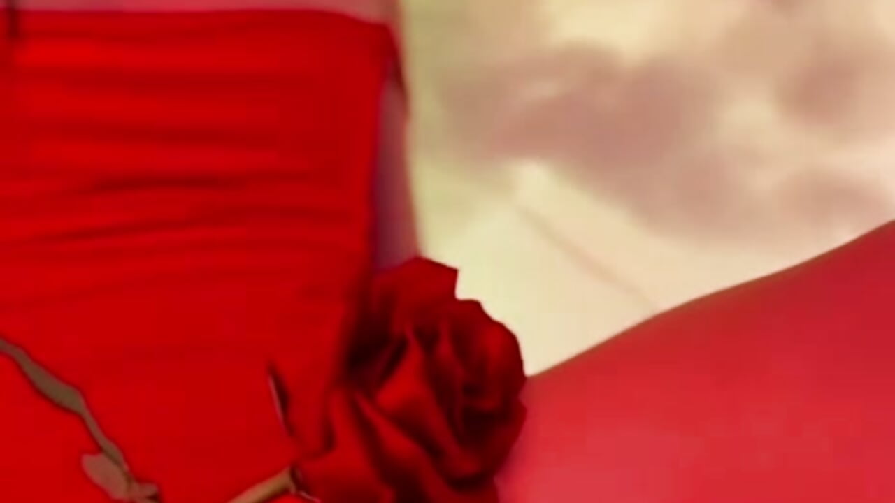 VALENTINE'S DAY ❤️‍🔥🌹 - Sassy--Girl 캠 모델의 동영상