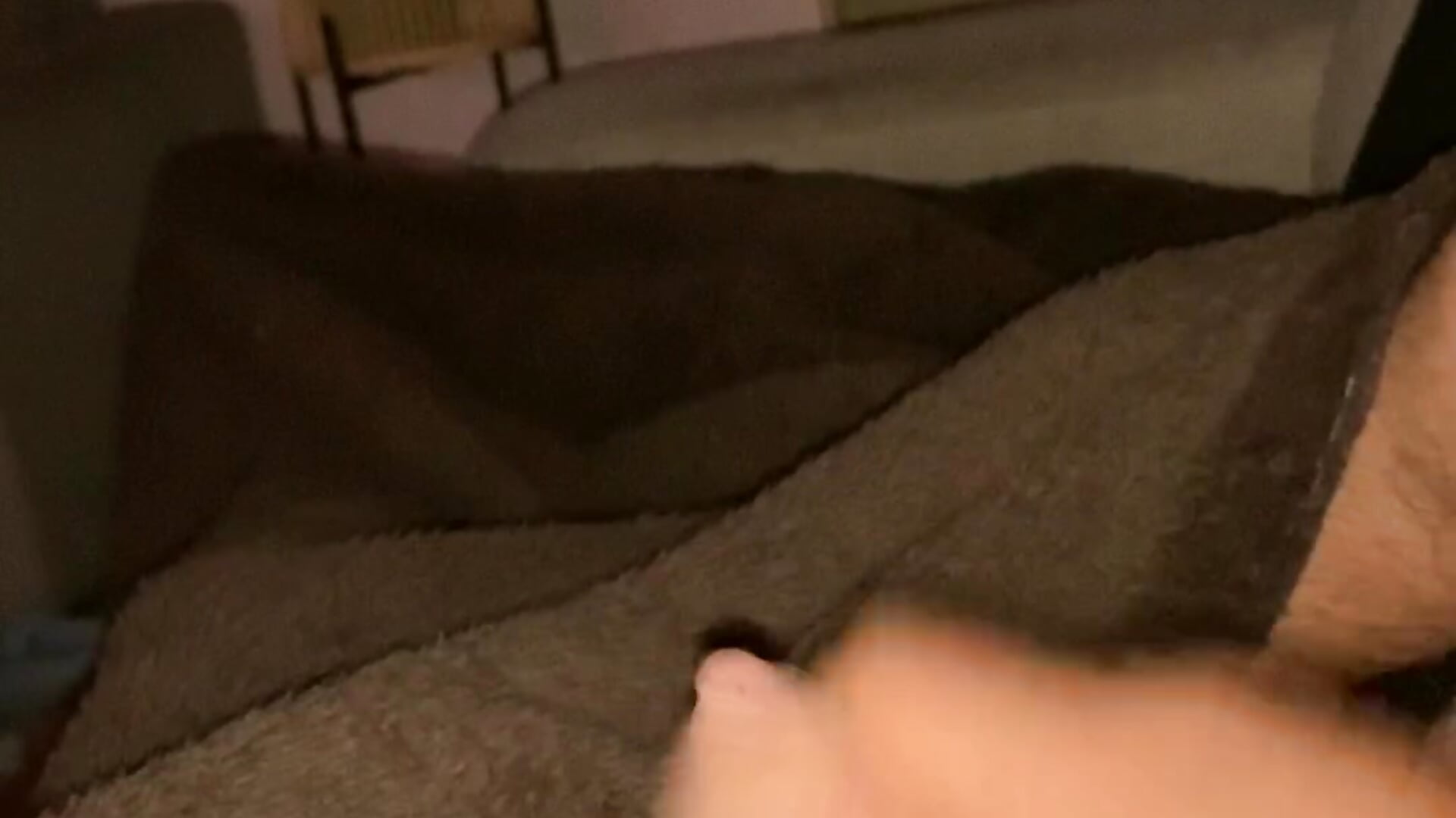 Cum shot - video by hairysmallcockguy cam model