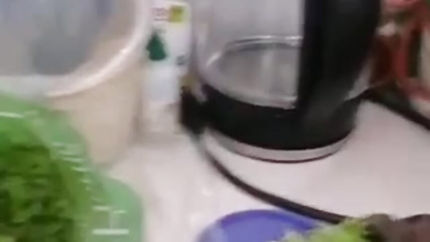 a little intruder in the kitchen hehehe - video av Little_Lisy cam model