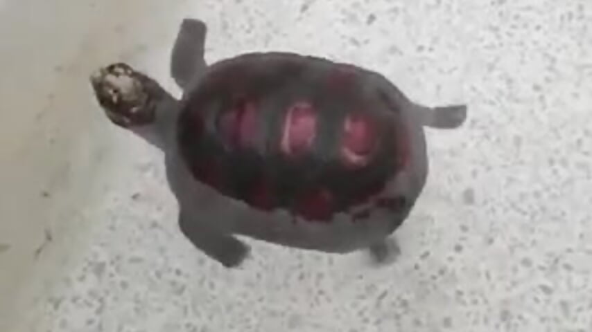 Noelia being happy swimming =DDD - video av Little_Lisy cam model