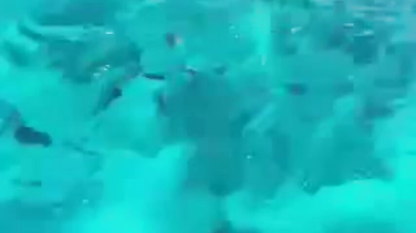 fish oh - video av Little_Lisy cam model