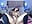 MASTURBATION IN THE AFTERNOON - vídeo de destinysweet21