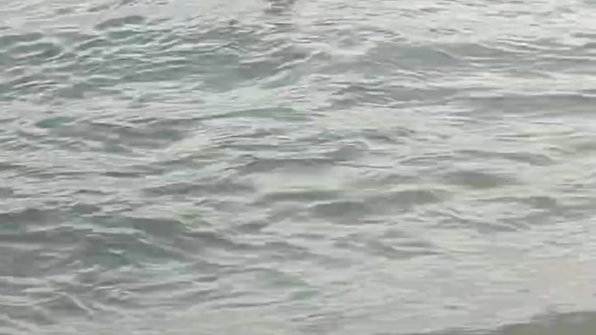 WhatsApp Video 2025-04-28 at 1.32.53 PM (1).mp4 - msemma167 캠 모델의 동영상