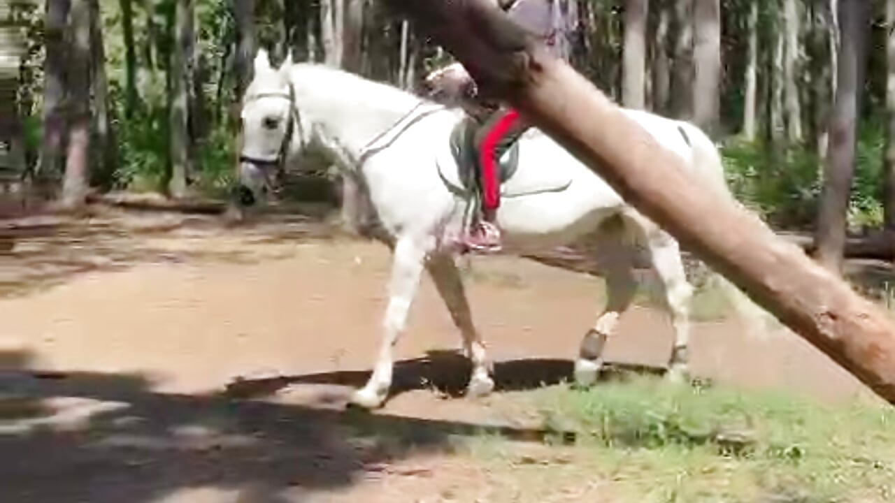 my morning horseback - video by JudyHaynes cam model