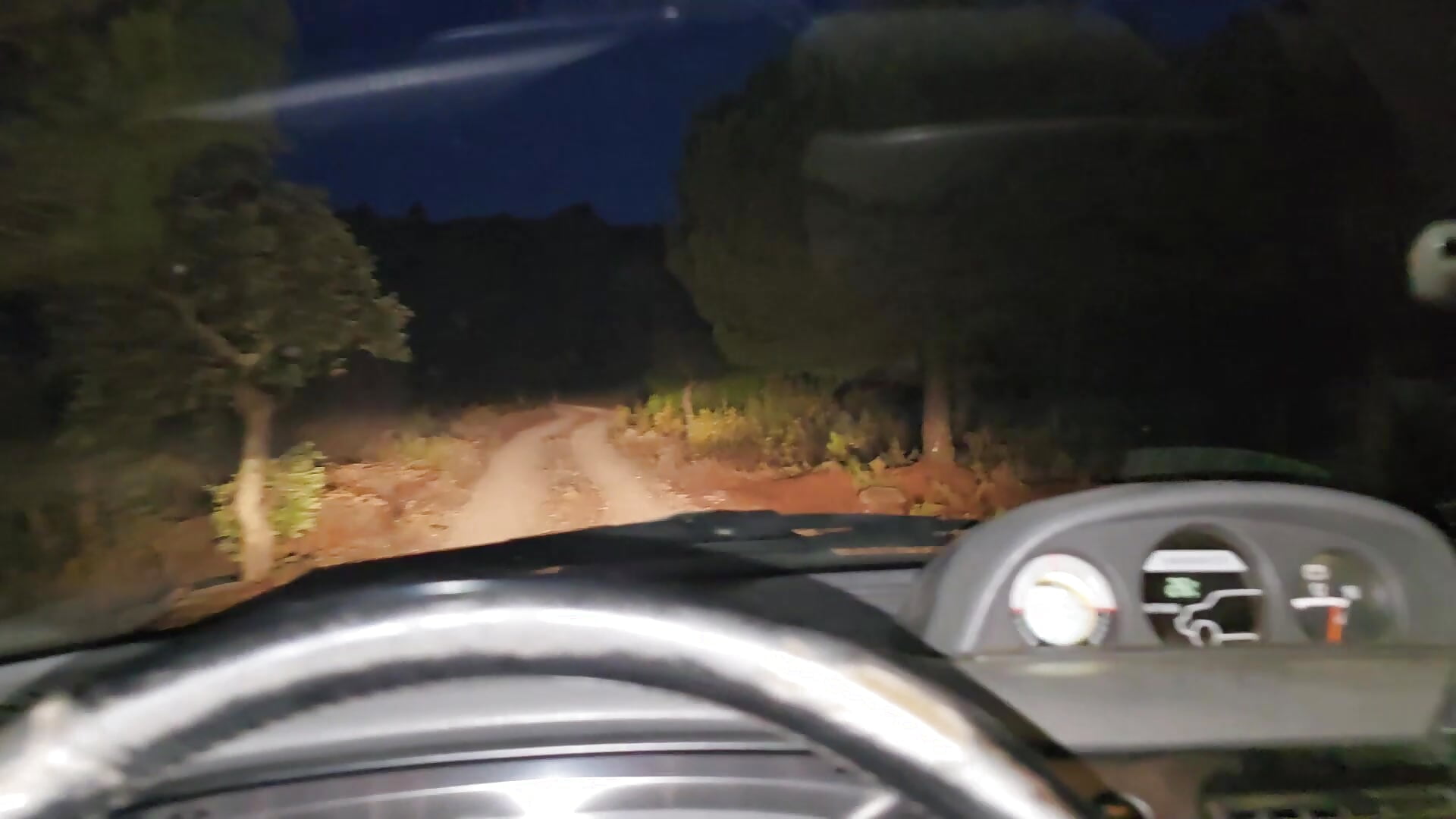 Slut sucks you off in your car
