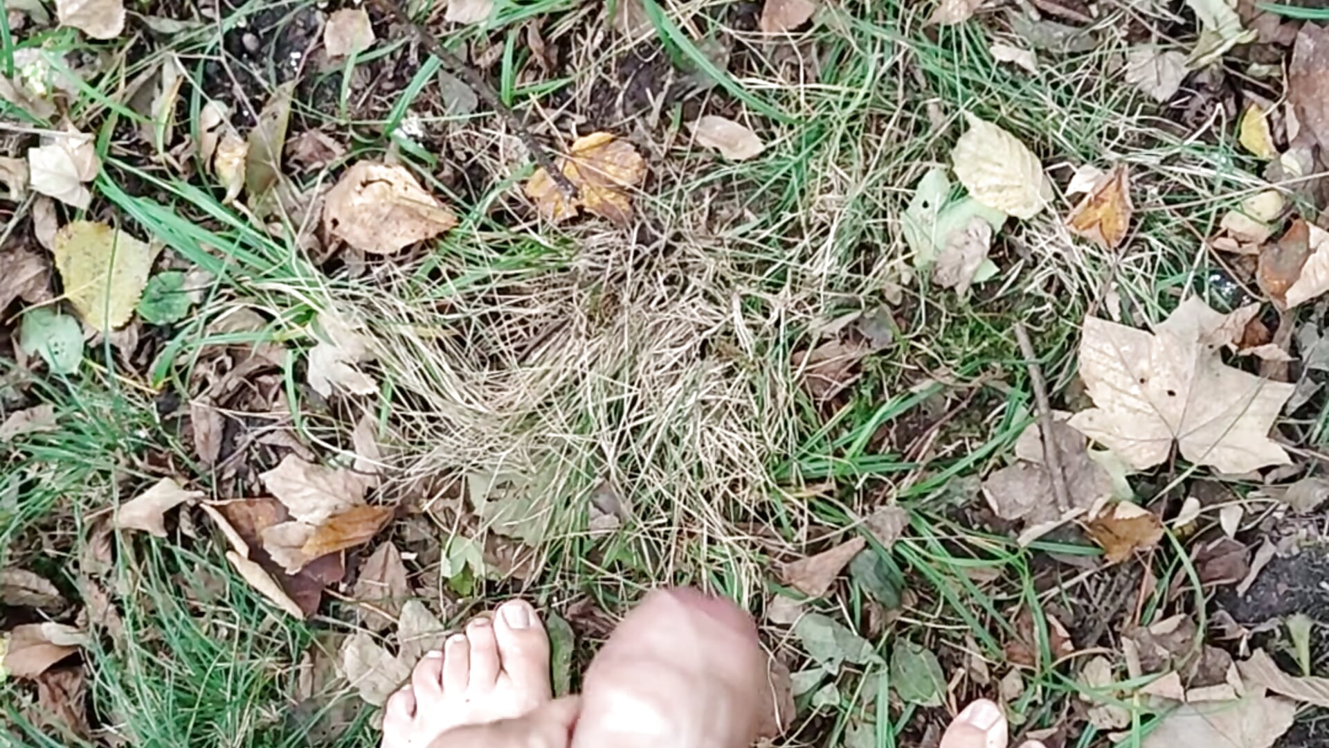 nackt Outdoor wichsen im Wald 🍆🌳🌲 - video by Boring_one cam model