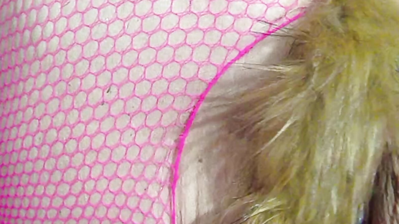 But plugged tail standing up cumming as well
