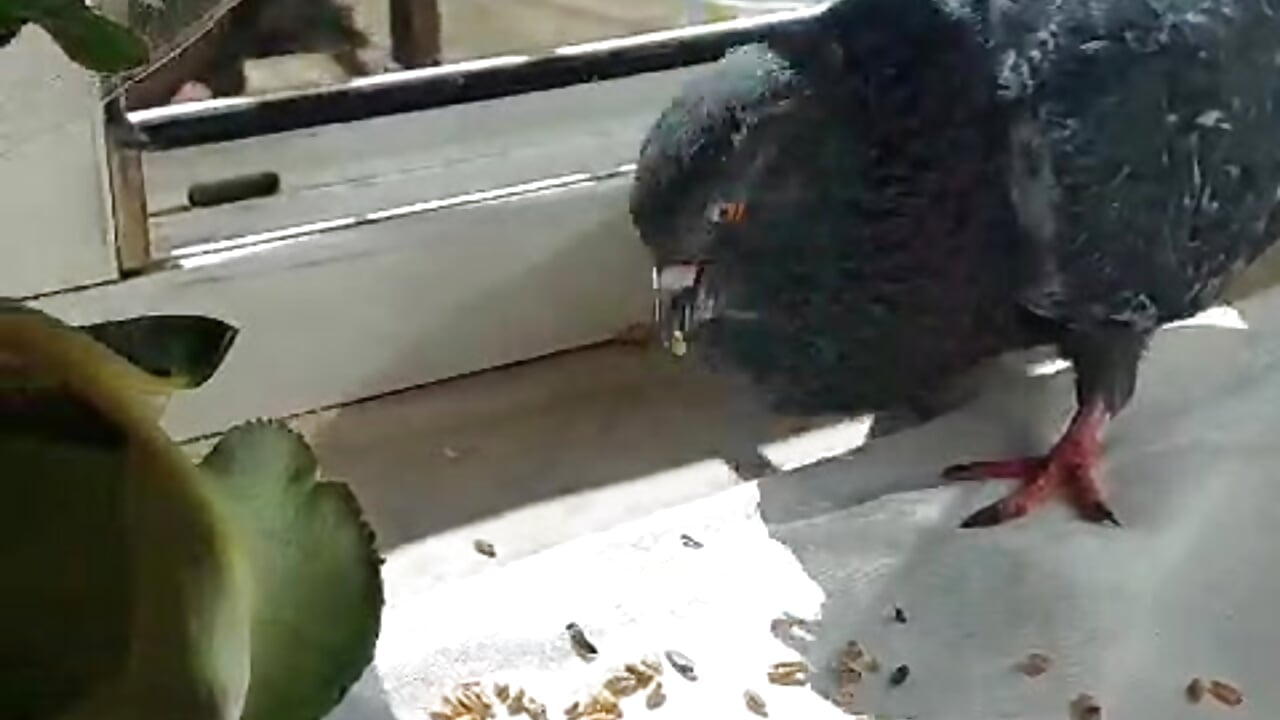 spring is here - video by Baby-Matilda cam model