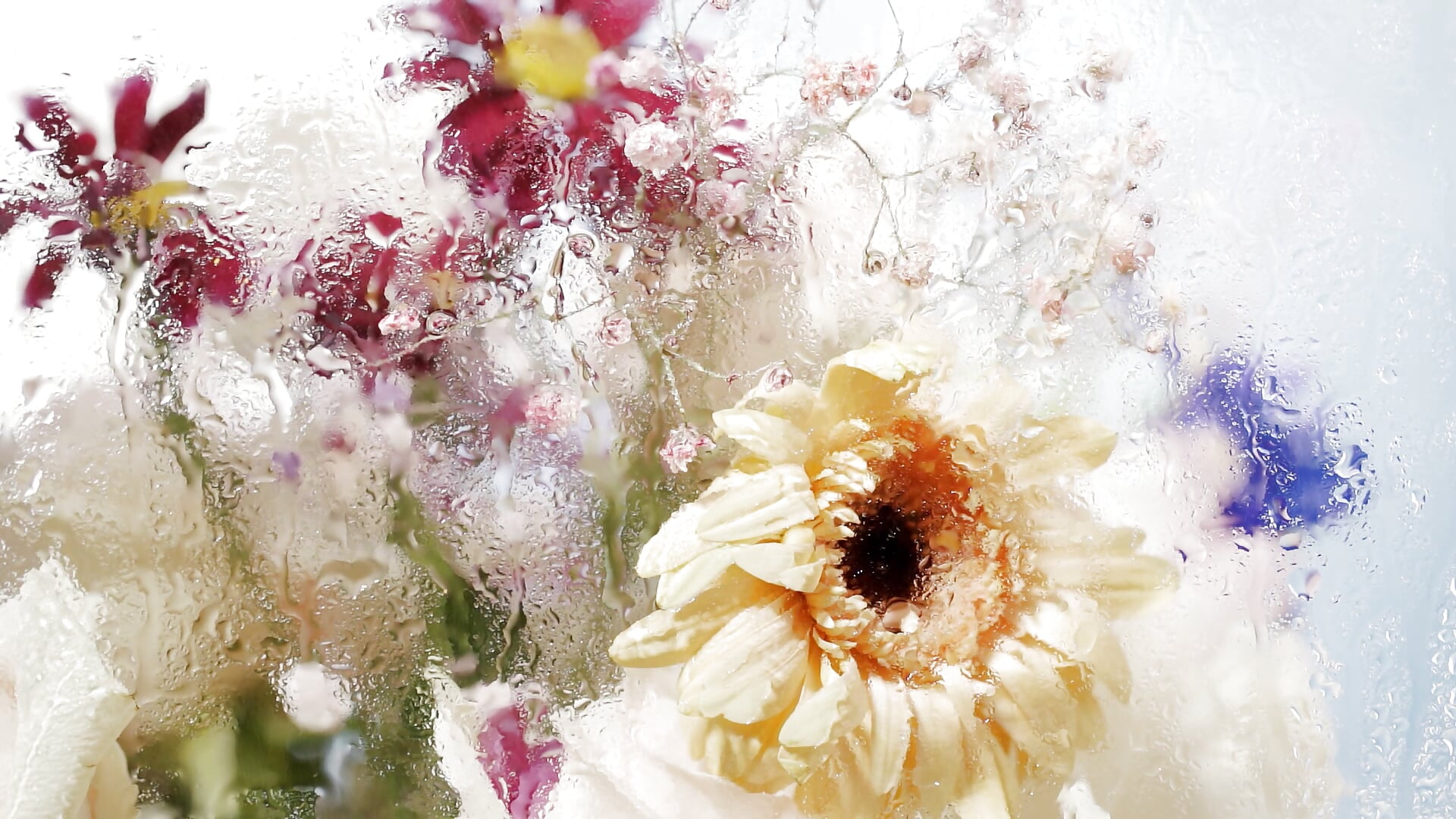 flowers - video by Baby-Matilda cam model