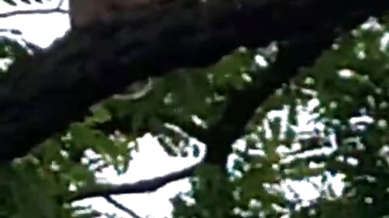 beauty in a park - video by Baby-Matilda cam model