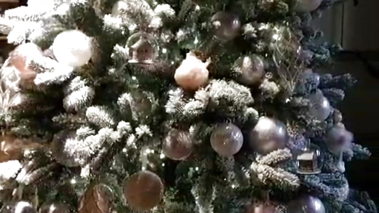 christmas tree - video by Baby-Matilda cam model