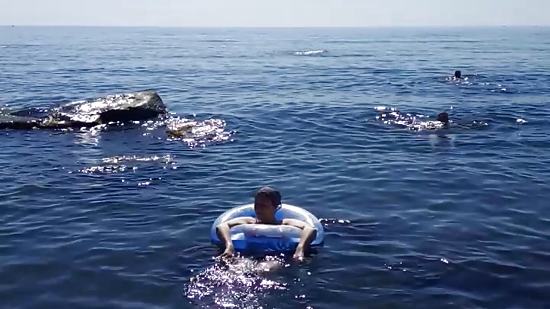 Sea life - video od modelky/modela MadameSquirtTatti4