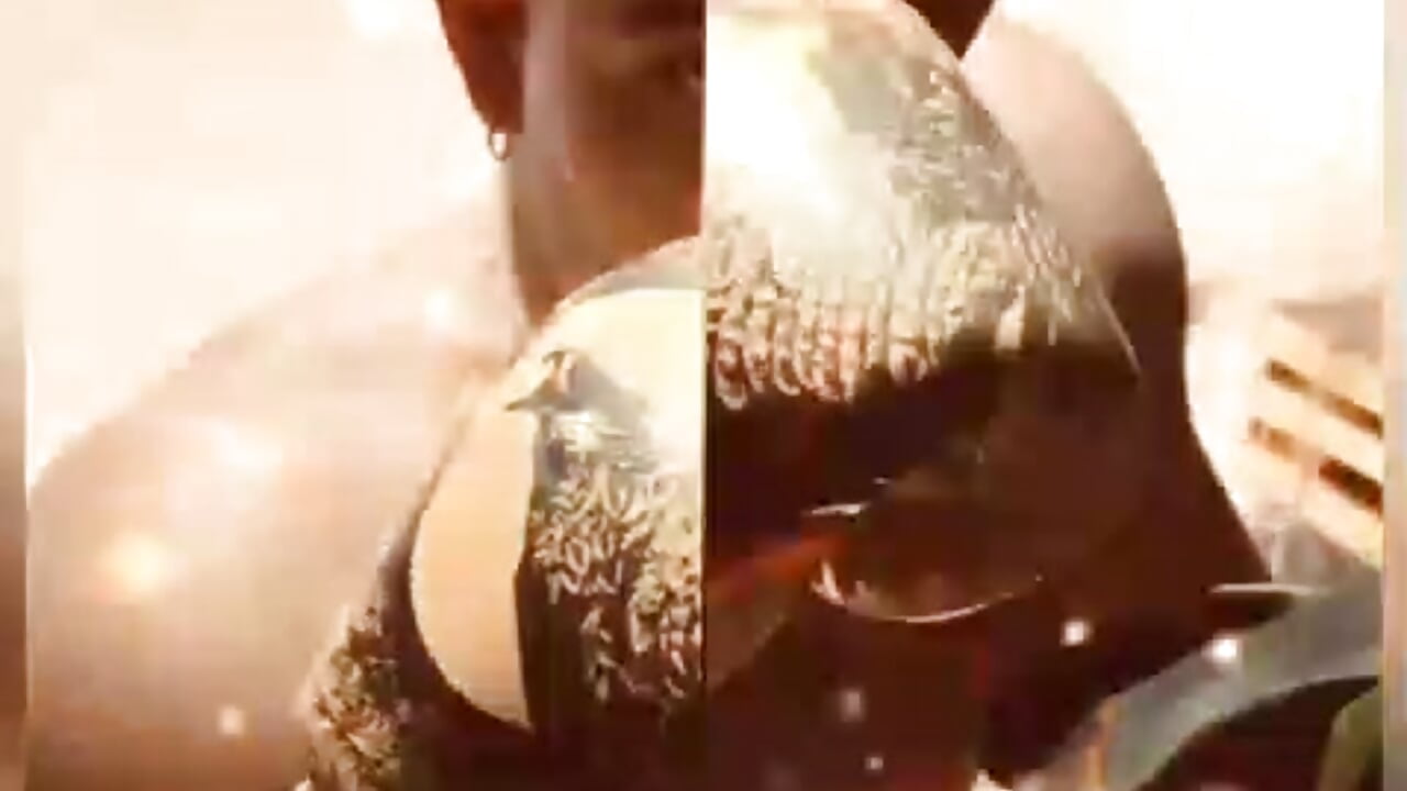 Video de WhatsApp 2025-09-10 a las 23,05,17_ab8409ce - vídeo de la modelo de cam Markboyl